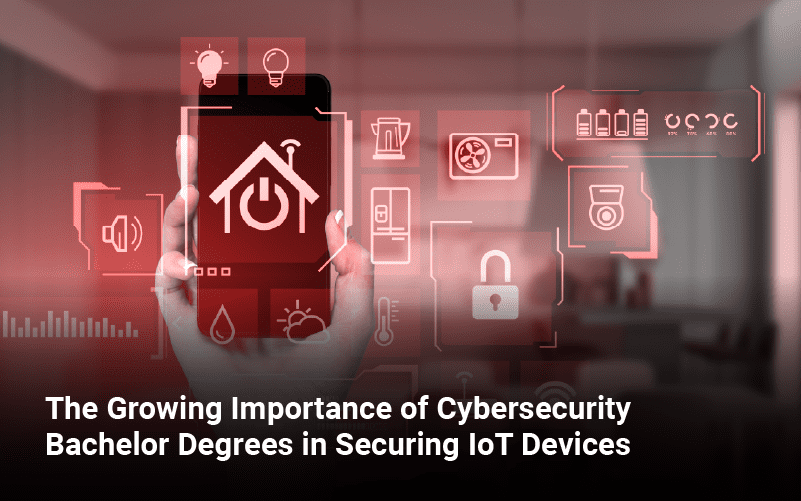 Importance of Cybersecurity Bachelor Degrees in Securing IoT Devices